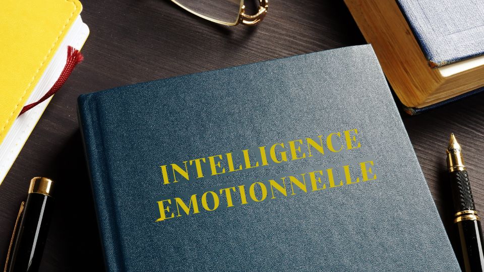 livre intelligence émotionnelle